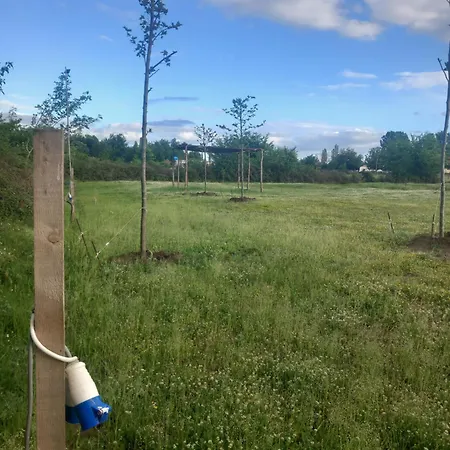 Gjelaj *