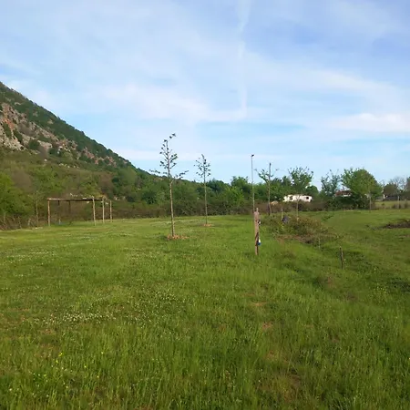 Gjelaj