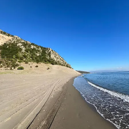 Gjelaj